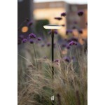 in-lite | SWAY Extra Low Black | Staande Buitenlamp